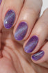 STARRY EYED NAGELLAK